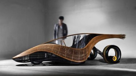 Bambus – materialul viitorului pentru autoturisme